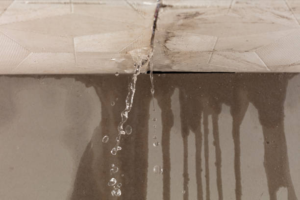 Professional Flood Damage Cleanup technician working in Lake Grove, NY